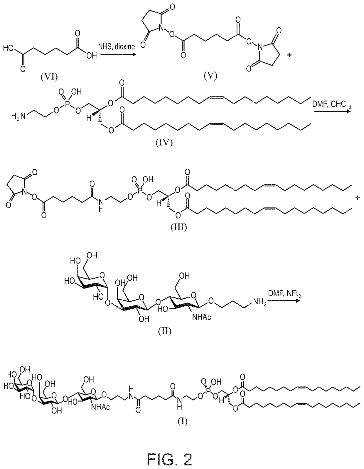 Agi-134 combined with a checkpoint inhibitor for the treatment of solid tumors