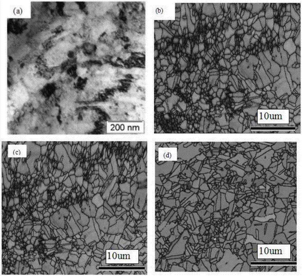 Preparation method of high-strength and high-tenacity stainless steel