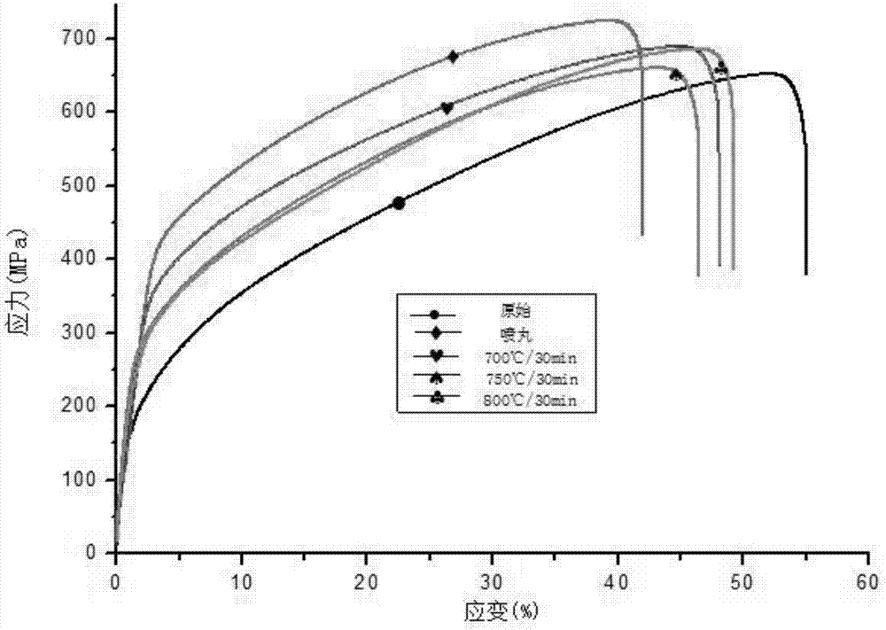 Preparation method of high-strength and high-tenacity stainless steel
