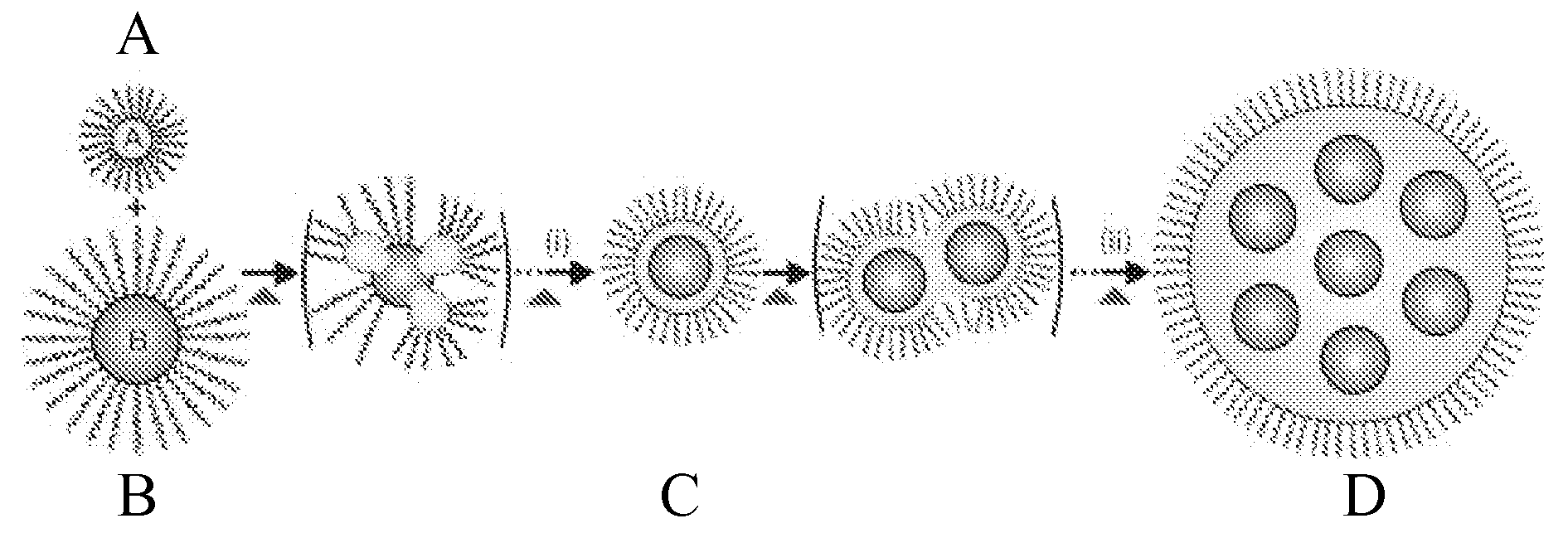 Core-shell nanoparticles with multiple cores and a method for fabricating them