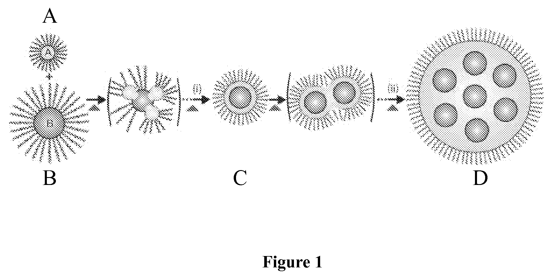 Core-shell nanoparticles with multiple cores and a method for fabricating them