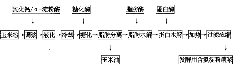 Method for preparing nitrogen-containing starch syrup by peeled and degermed maize flour polyzyme method