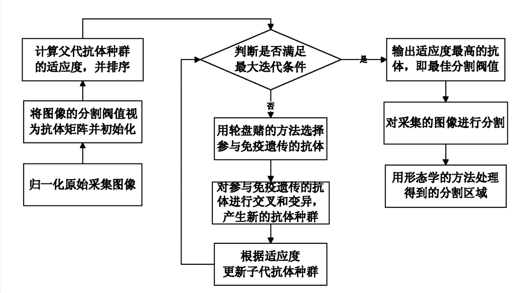 Fingerprint image segmentation method based on artificial immunogenetics and morphology