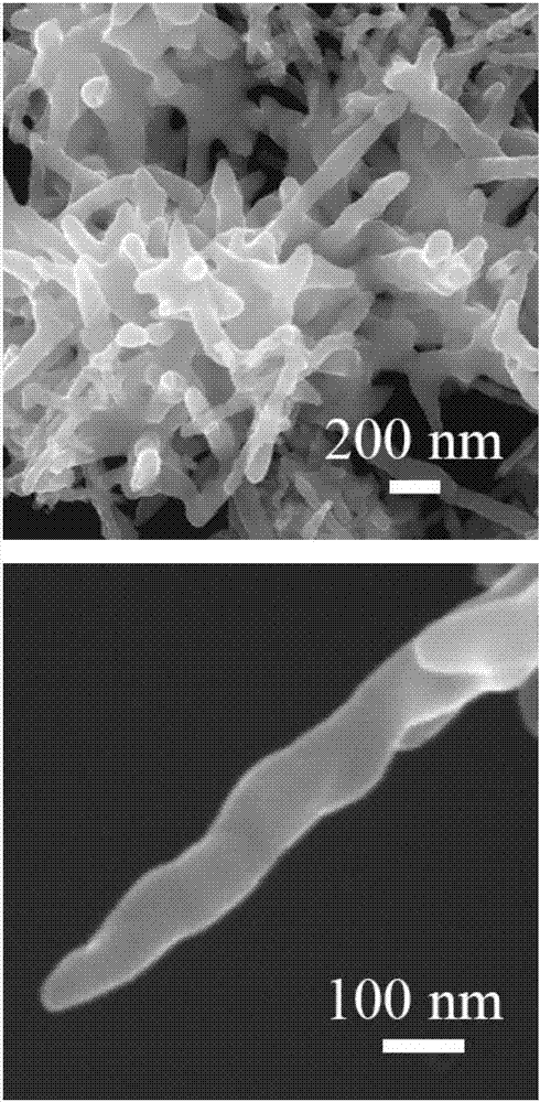 NiS@C nanocomposite material for negative electrode of battery and preparation method of NiS@C nanocomposite material