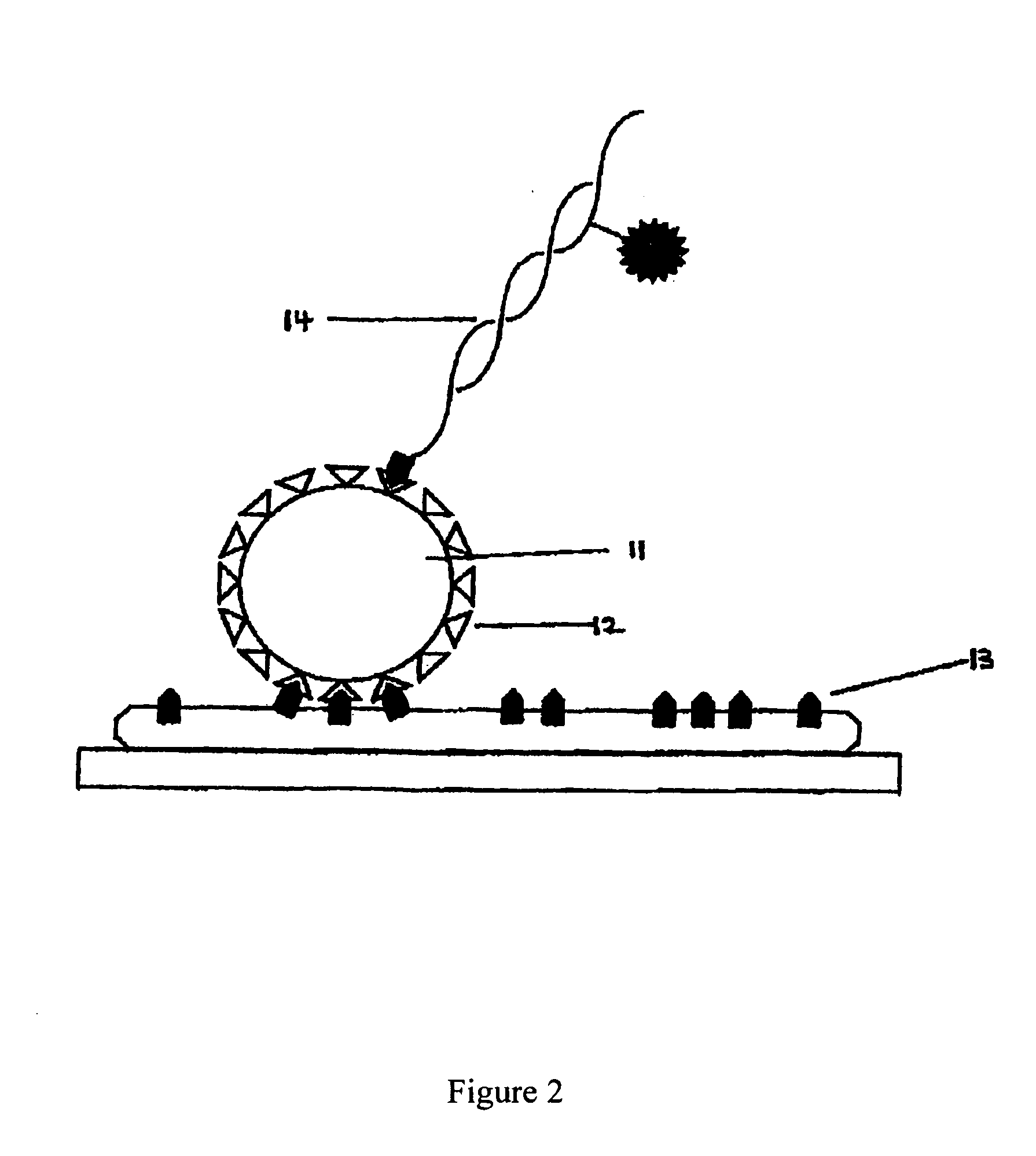 Method and system for sequencing polynucleotides