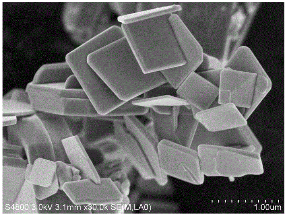 The preparation method of stannous sulfide nano sheet