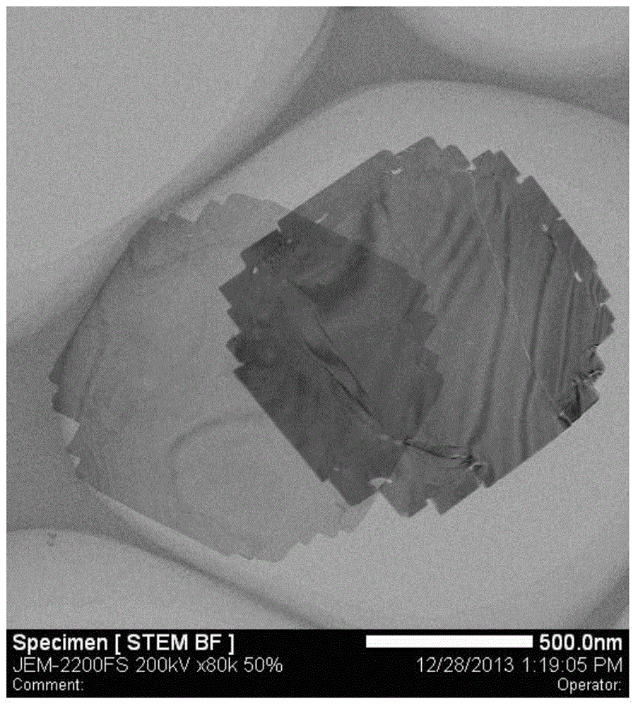 The preparation method of stannous sulfide nano sheet