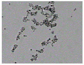 Calixarene functionalized gold nanoparticle and preparation method thereof