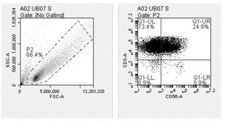 Separation method of human peripheral blood mononuclear cells