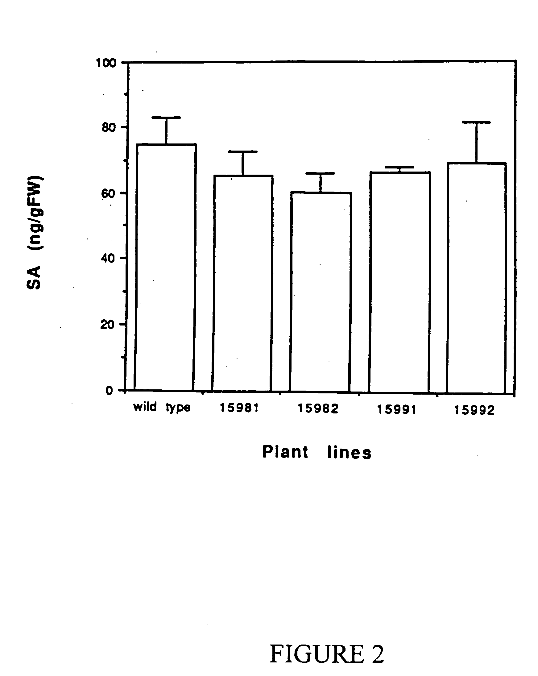 Transgenic plants producing a pap II protein
