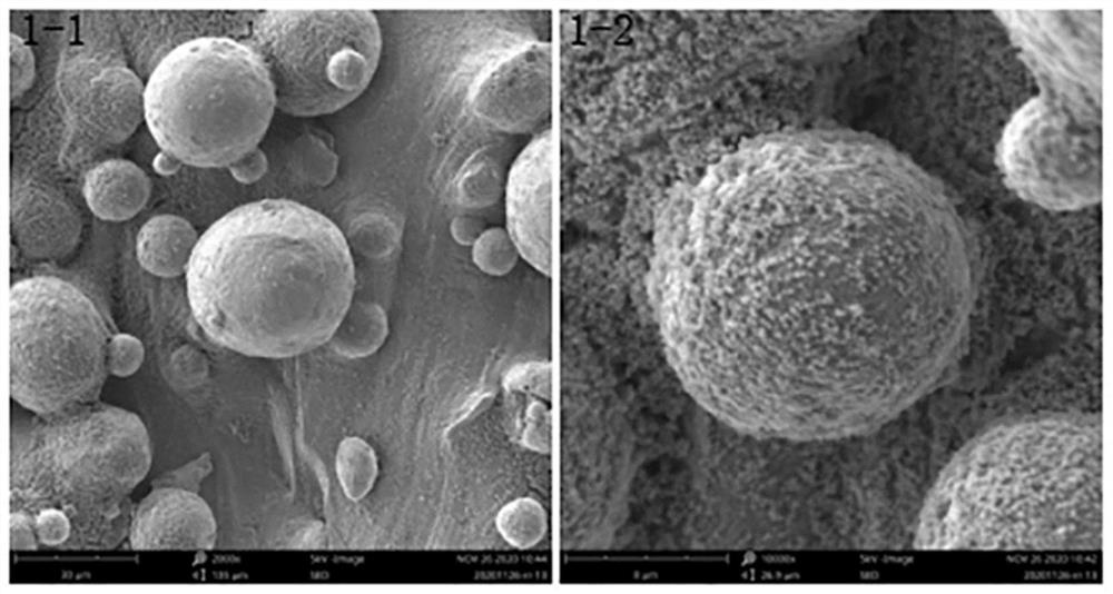 3D printing metal base material with polydopamine-mesoporous bioactive glass composite coating as well as preparation method and application of 3D printing metal base material
