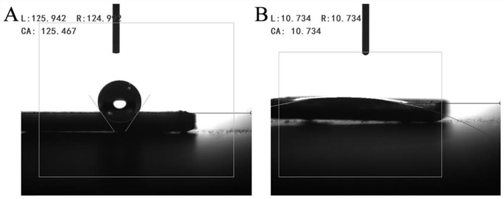 3D printing metal base material with polydopamine-mesoporous bioactive glass composite coating as well as preparation method and application of 3D printing metal base material