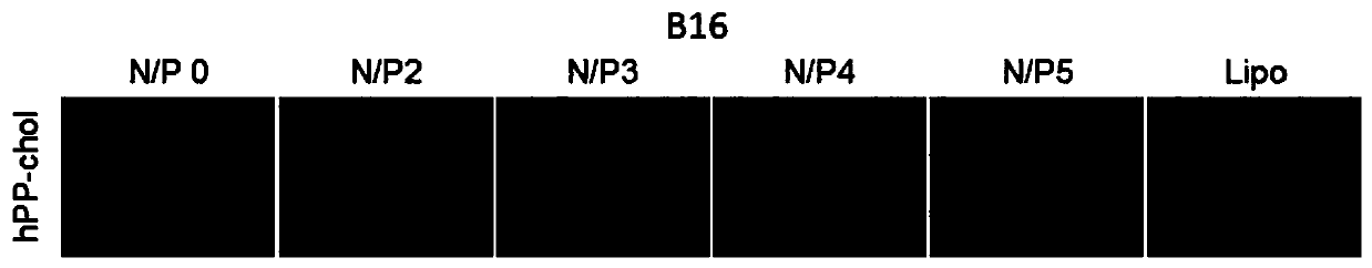 Cell-penetrating peptide hpp-chol, method for its production and its mediated plasmid DNA transfection