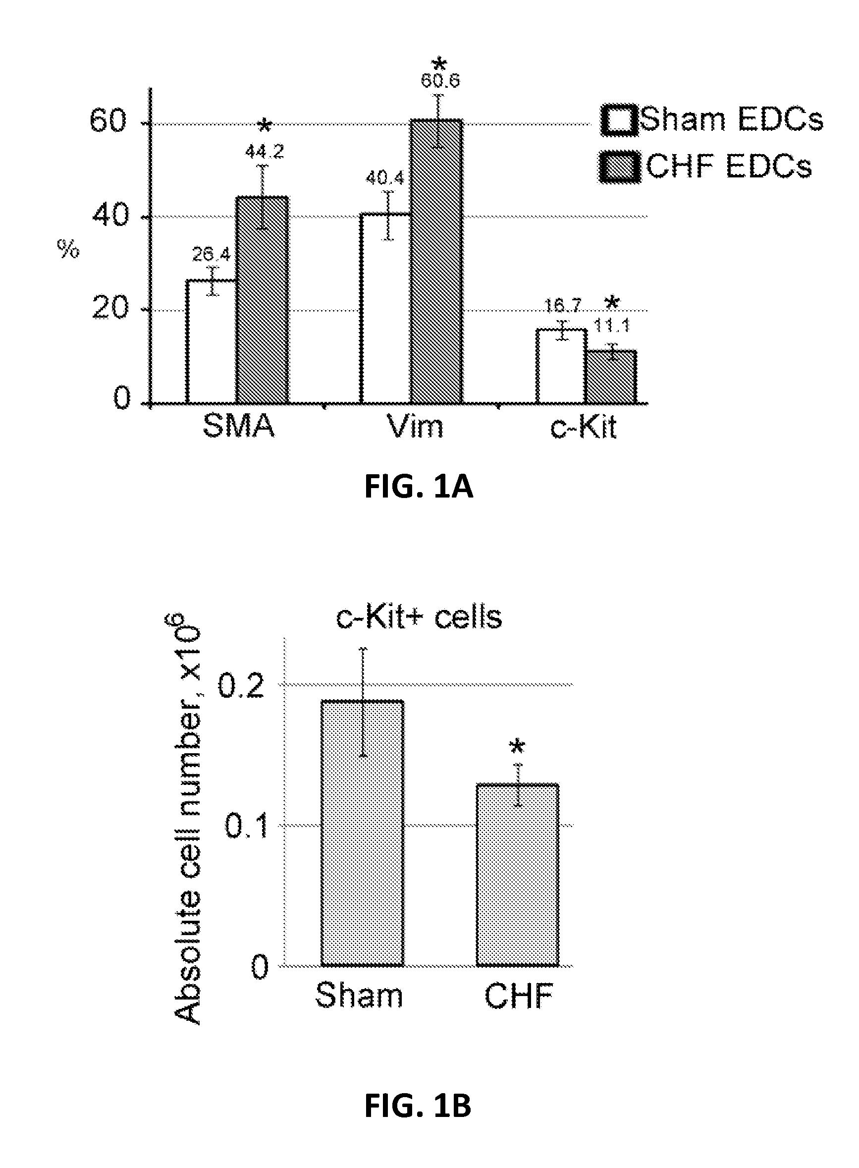 Stem cell compositions and methods of their use