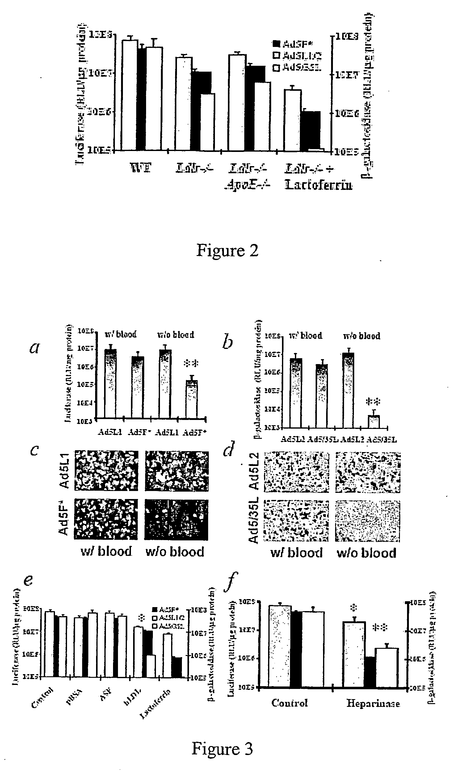 Capsid-modified adenovirus vectors and methods of using the same