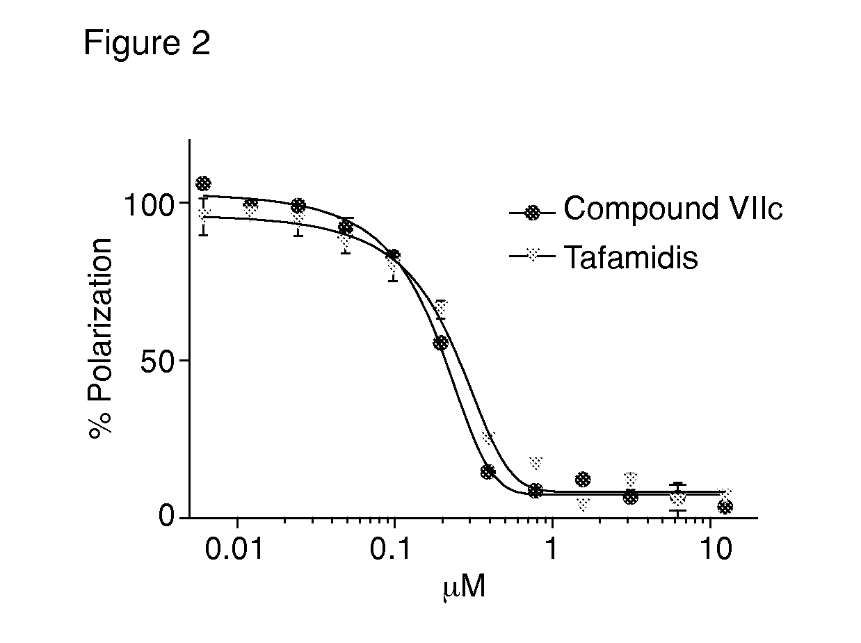 Compounds and compositions that bind and stabilize transthyretin and their use for inhibiting transthyretin amyloidosis and protein-protein interactions
