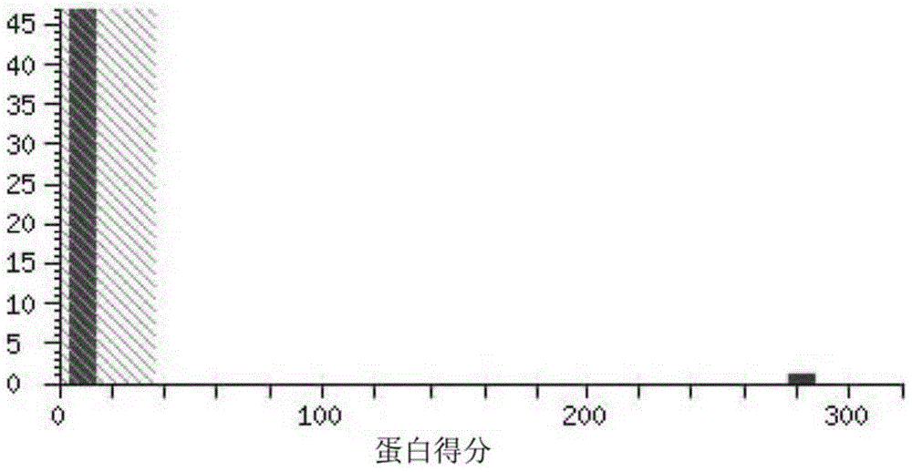 Preparation of monoclonal antibody 7H8 capable of resisting epitope at N terminal of human procalcitonin protein