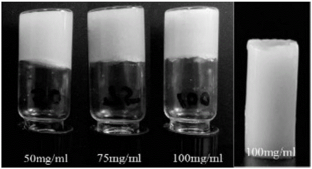 Method for preparing patinopecten yesoensis gonad enzymatic hydrolysate with high gelling property