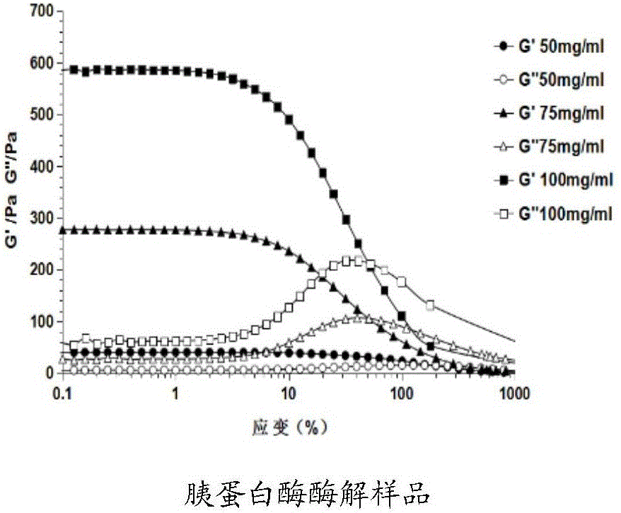 Method for preparing patinopecten yesoensis gonad enzymatic hydrolysate with high gelling property