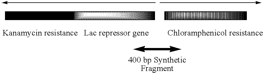 Error reduction in automated gene synthesis