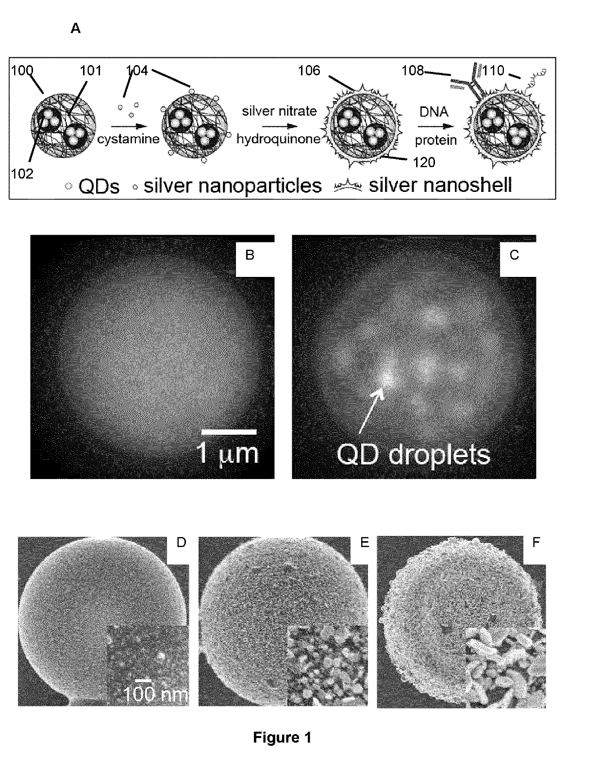 Metal nanoshell-coated barcodes