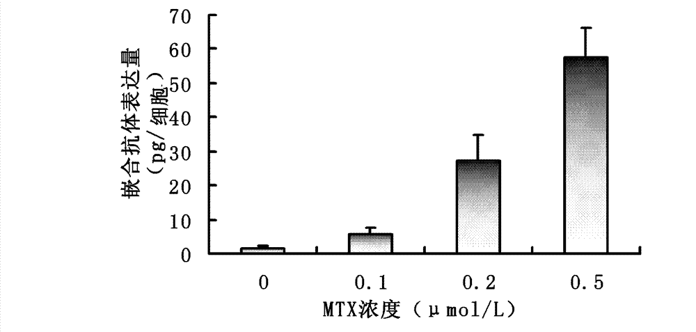 Human-mouse chimeric antibody of anti-human tumor necrosis factor related apoptosis-inducing ligand receptor DR5, preparation method and uses thereof