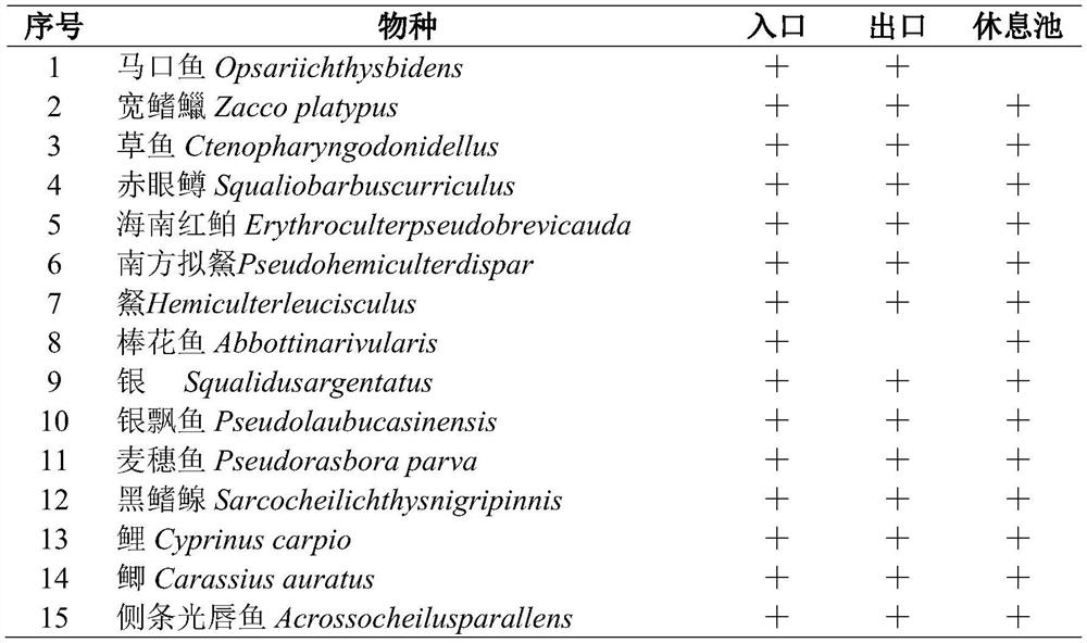 Method for monitoring and evaluating fish passage effects based on environmental DNA