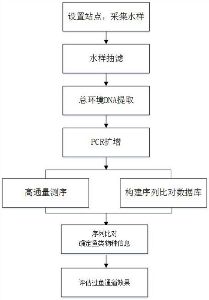 Method for monitoring and evaluating fish passage effects based on environmental DNA