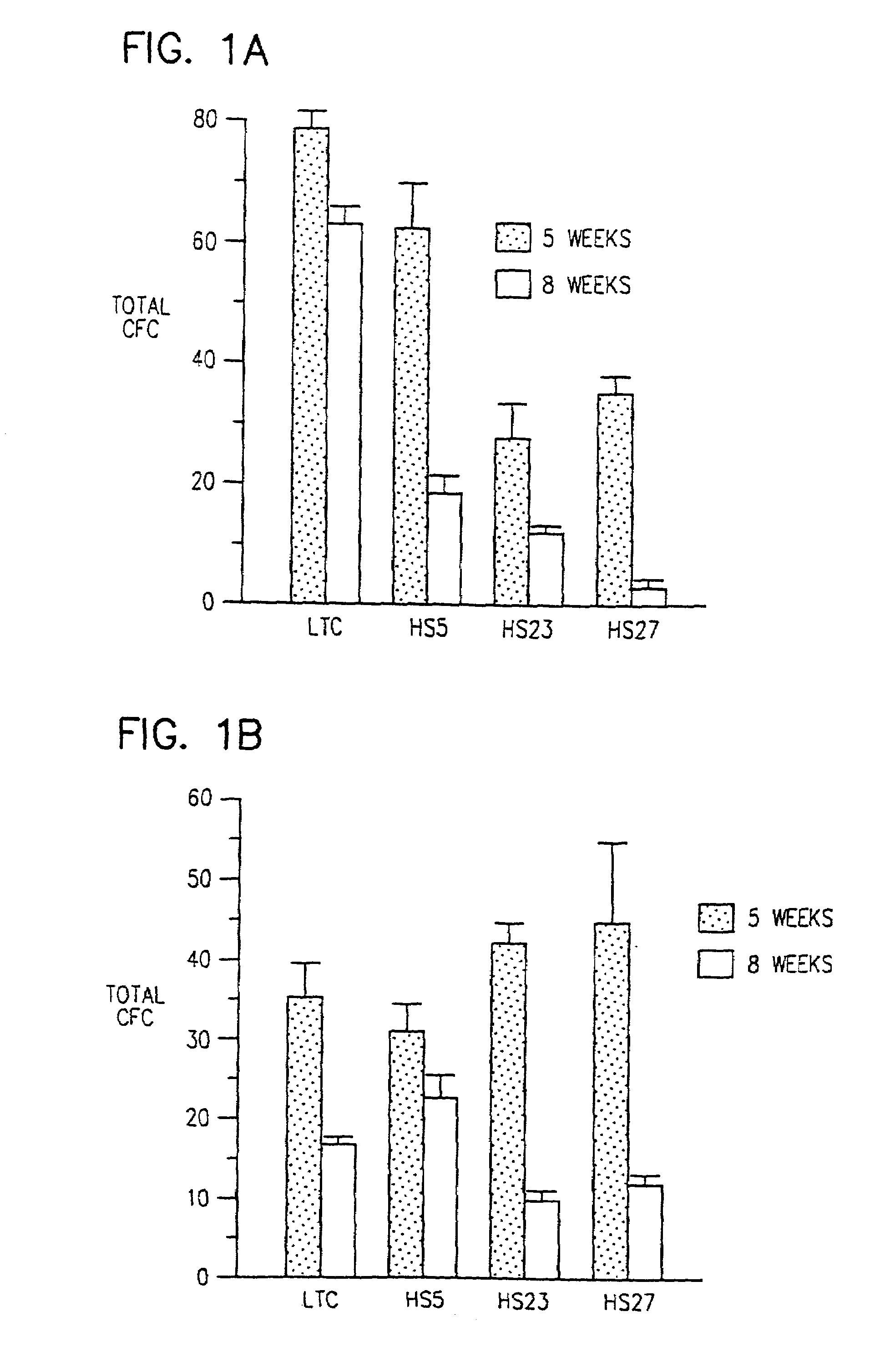 Human marrow stromal cell lines which sustain hematopoiesis