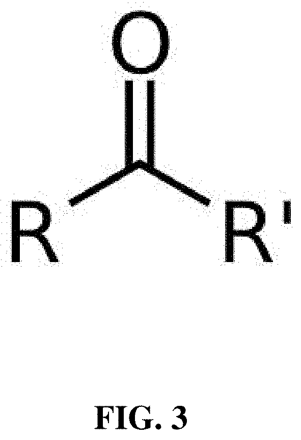 Nutraceutical Composition Comprising a Water-Soluble Fullerene and a Ketone