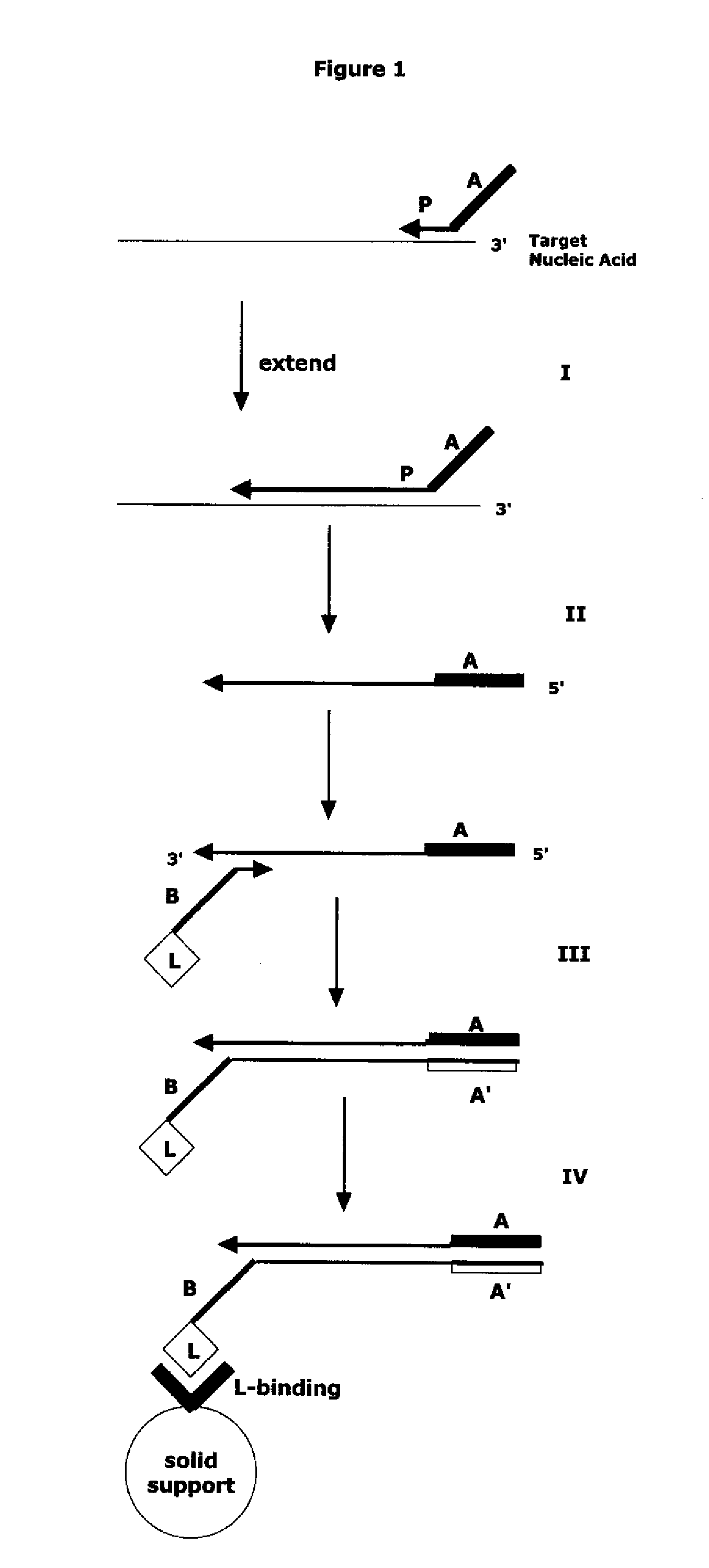 Method for Archiving and Clonal Expansion