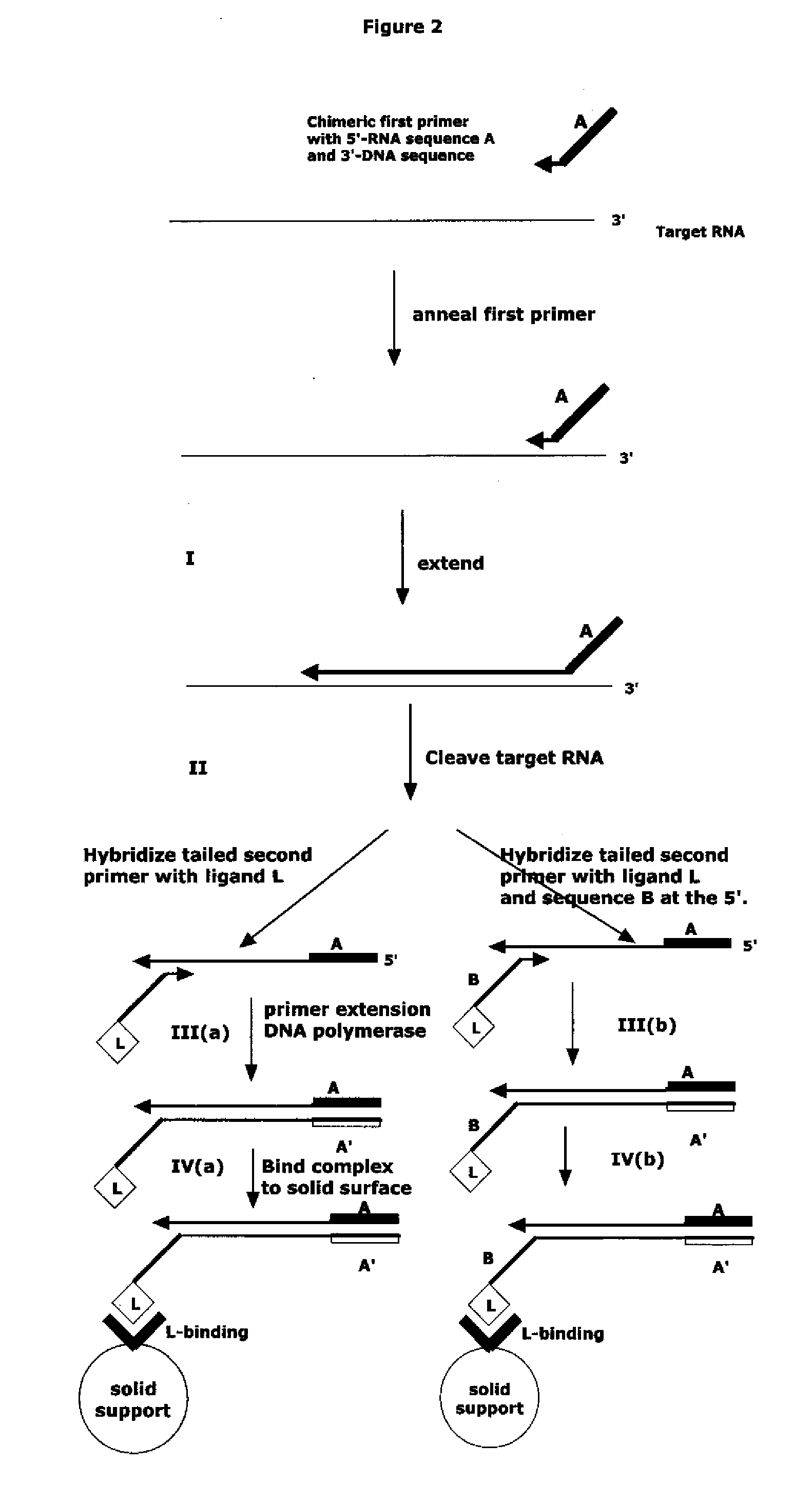 Method for Archiving and Clonal Expansion