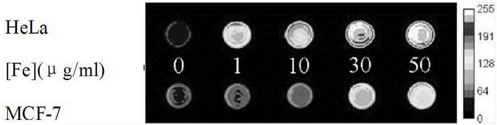 Composite nano-grade novel material based on cancer early-stage integrated detection, diagnoses, and treatment, and preparation method thereof