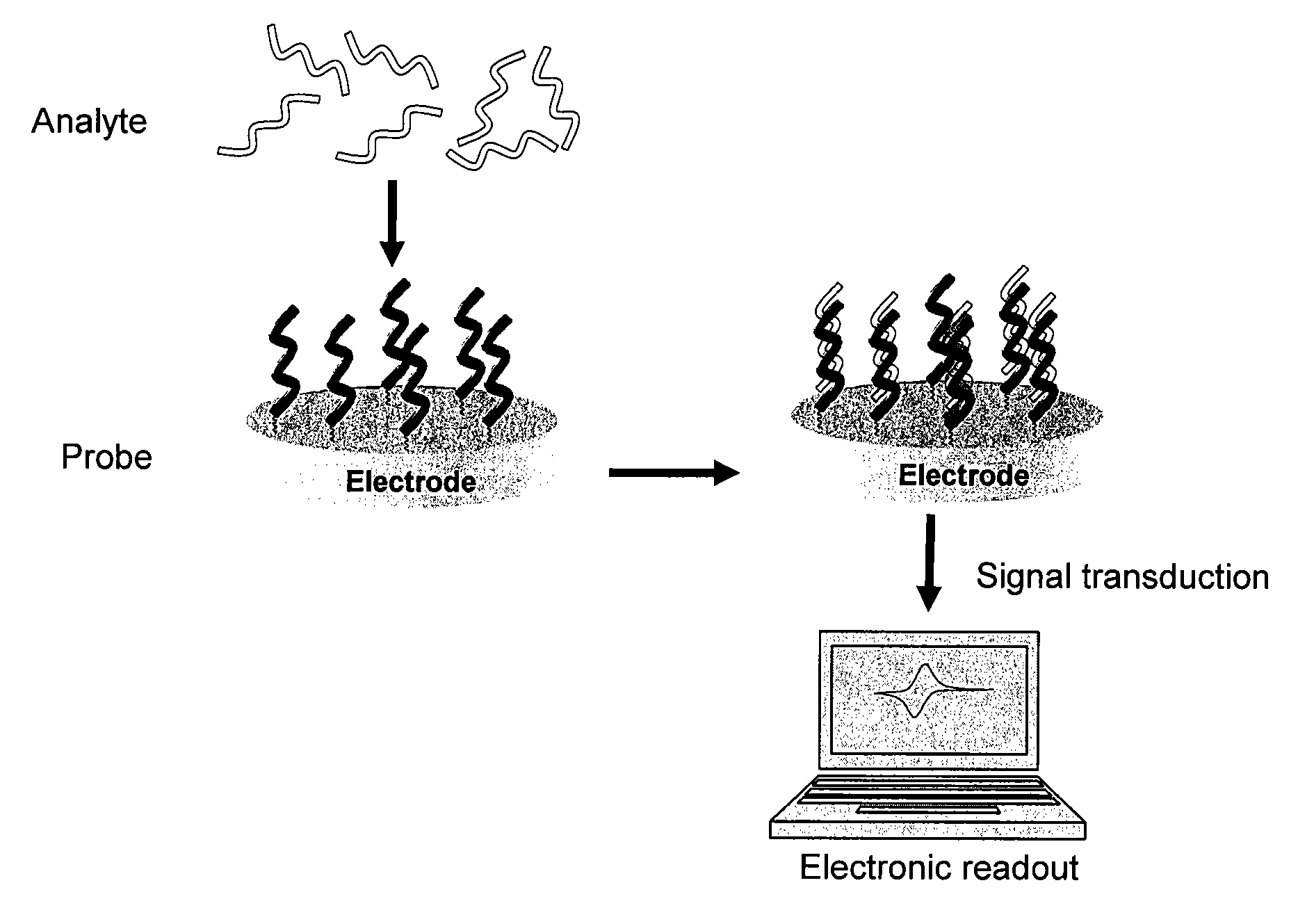 Electrochemical Detection of Substrates