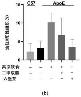 Application of Liupao tea in preparing functional products for preventing and treating amyloid protein diseases