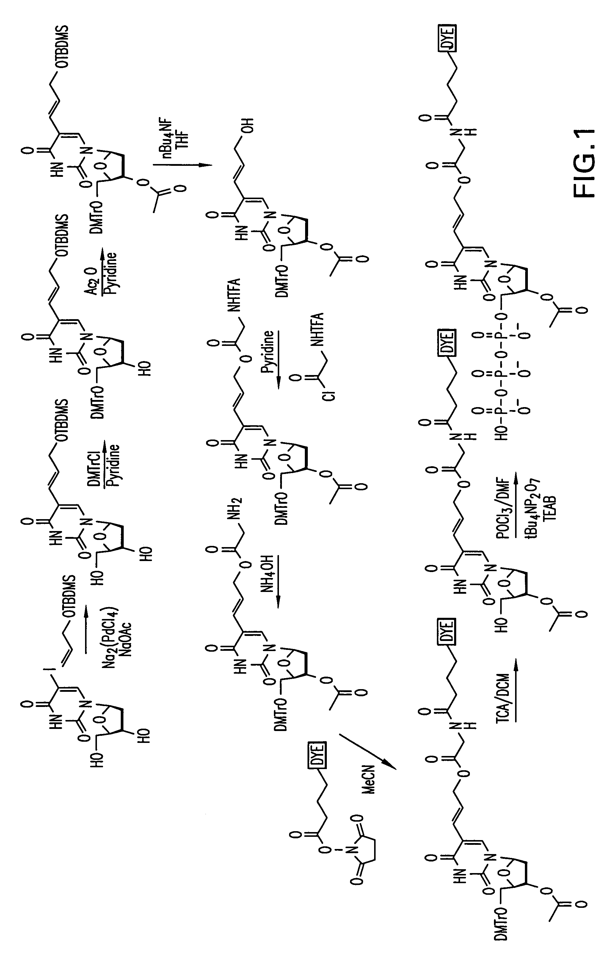 Nucleotide analogues comprising a reporter moiety and a polymerase enzyme blocking moiety