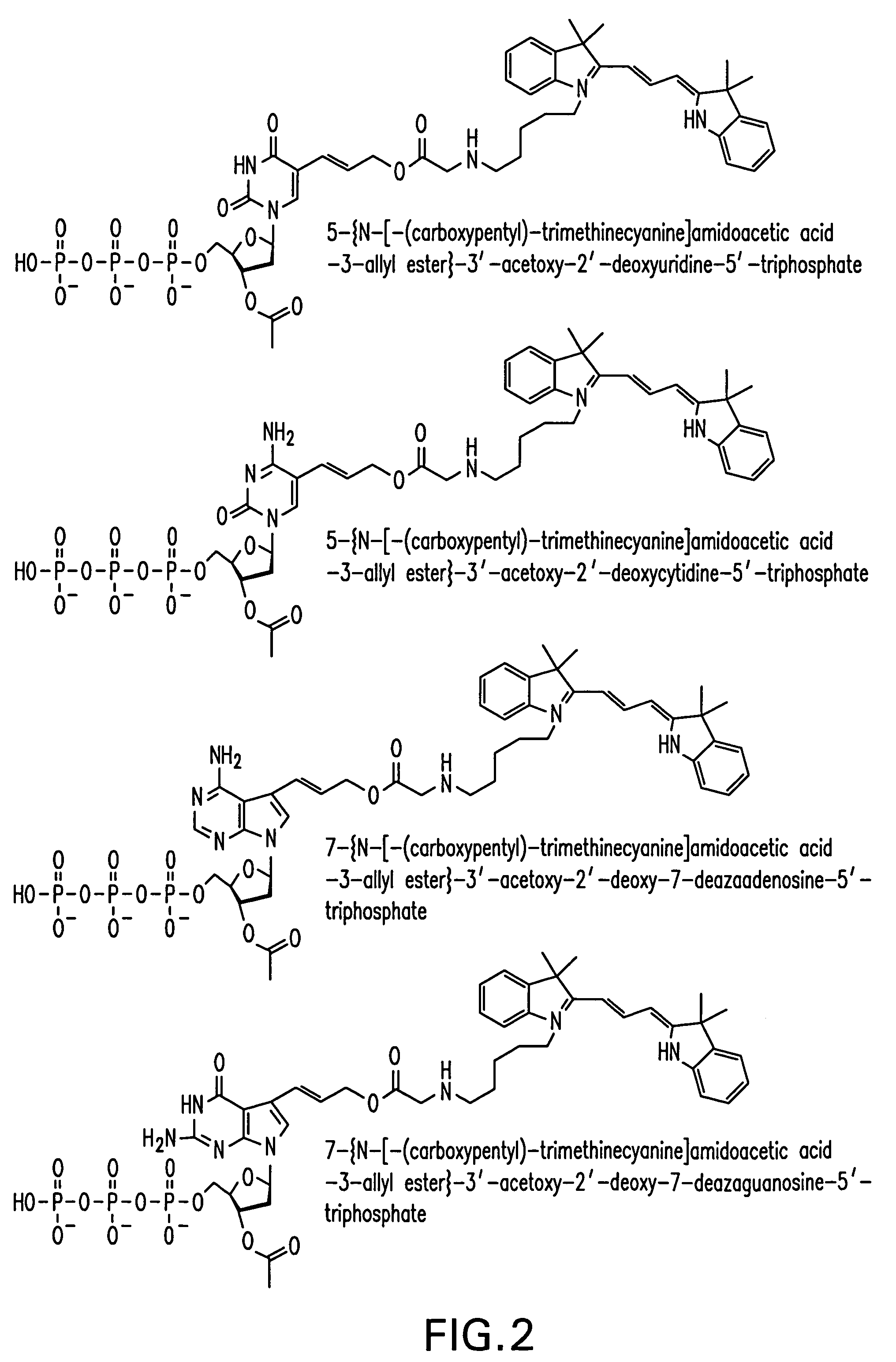 Nucleotide analogues comprising a reporter moiety and a polymerase enzyme blocking moiety