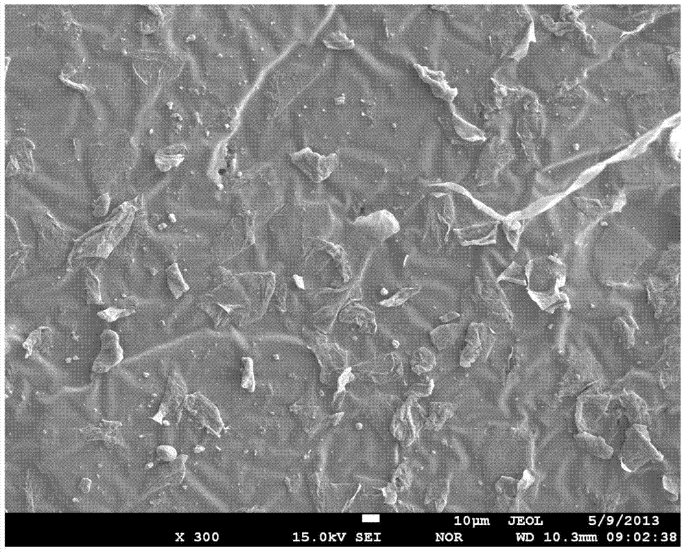 Light high-strength brominated butyl rubber gas tightness material and preparation method and application thereof