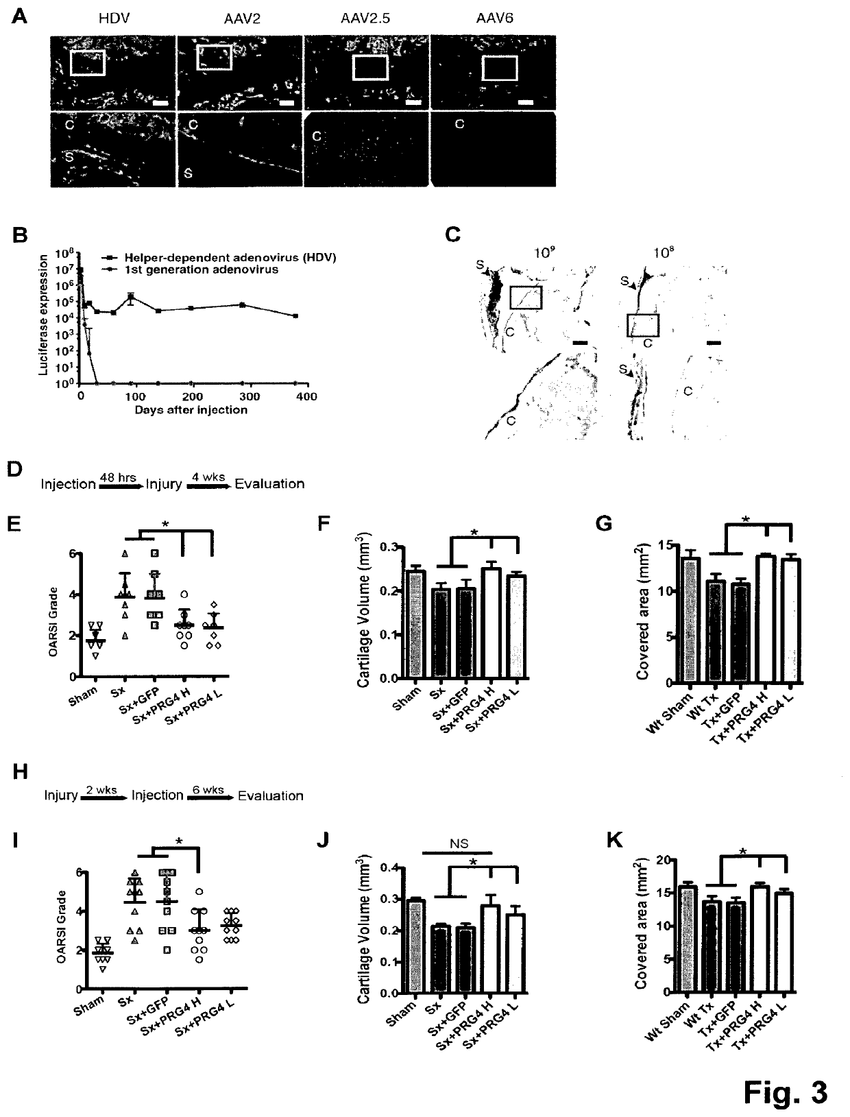 Helper-dependent adenoviral gene therapy delivery and expression system