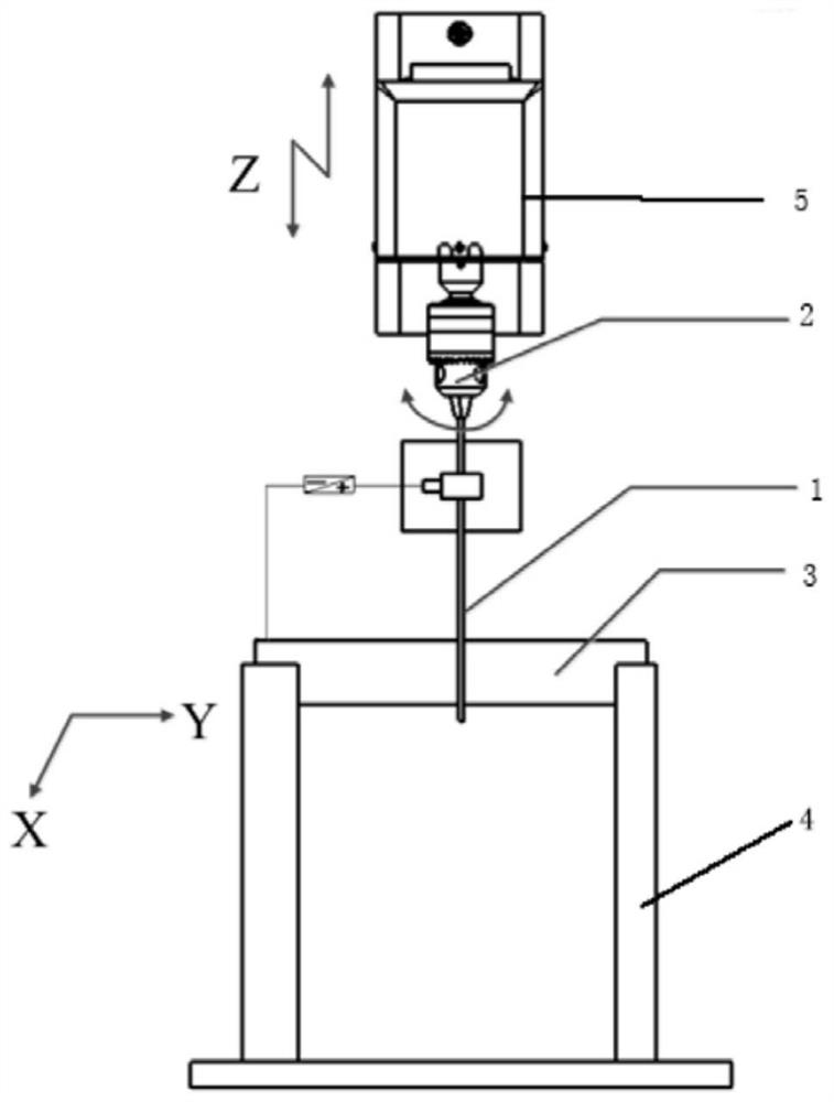 A kind of deep brain stimulation cannula electrode and its surface roughening random biomimetic microtexture preparation method