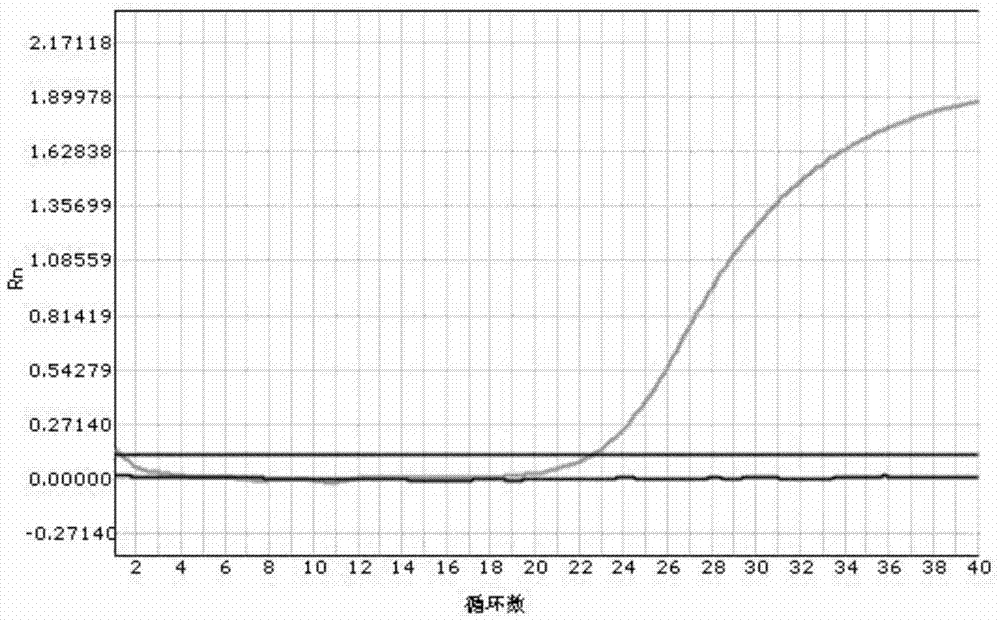 Kit for quickly detecting polymorphism of human VKORC1 and CYP2CP genes and using method of kit