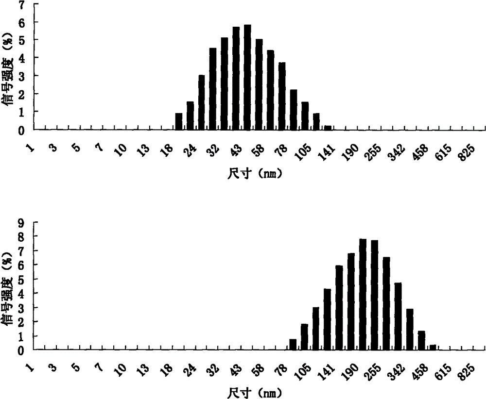 Method for quantitatively detecting ampicillin by marking antibody with laterally assembled gold nanorod