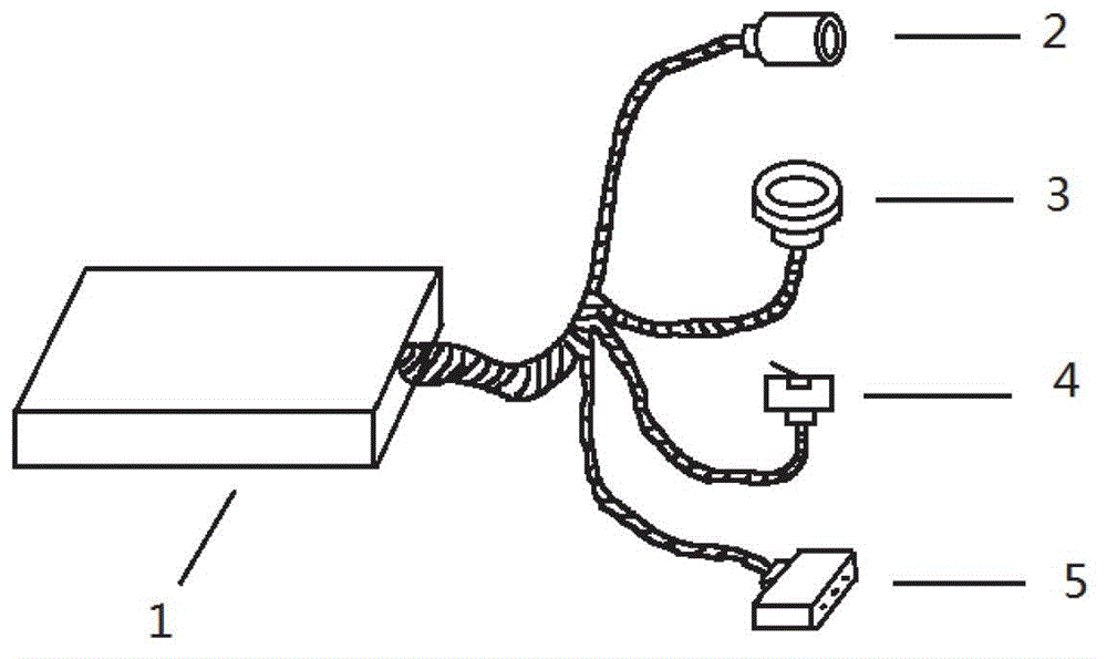 Driver identity identification device and method