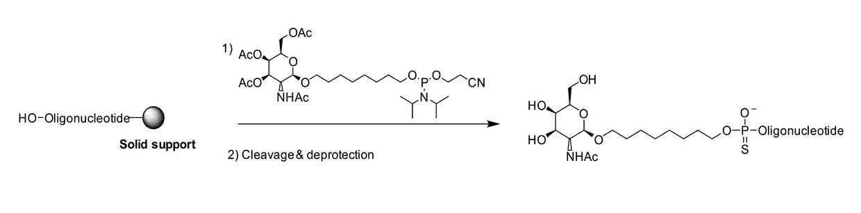 Galnac phosphoramidites, nucleic acid conjugates thereof and their use