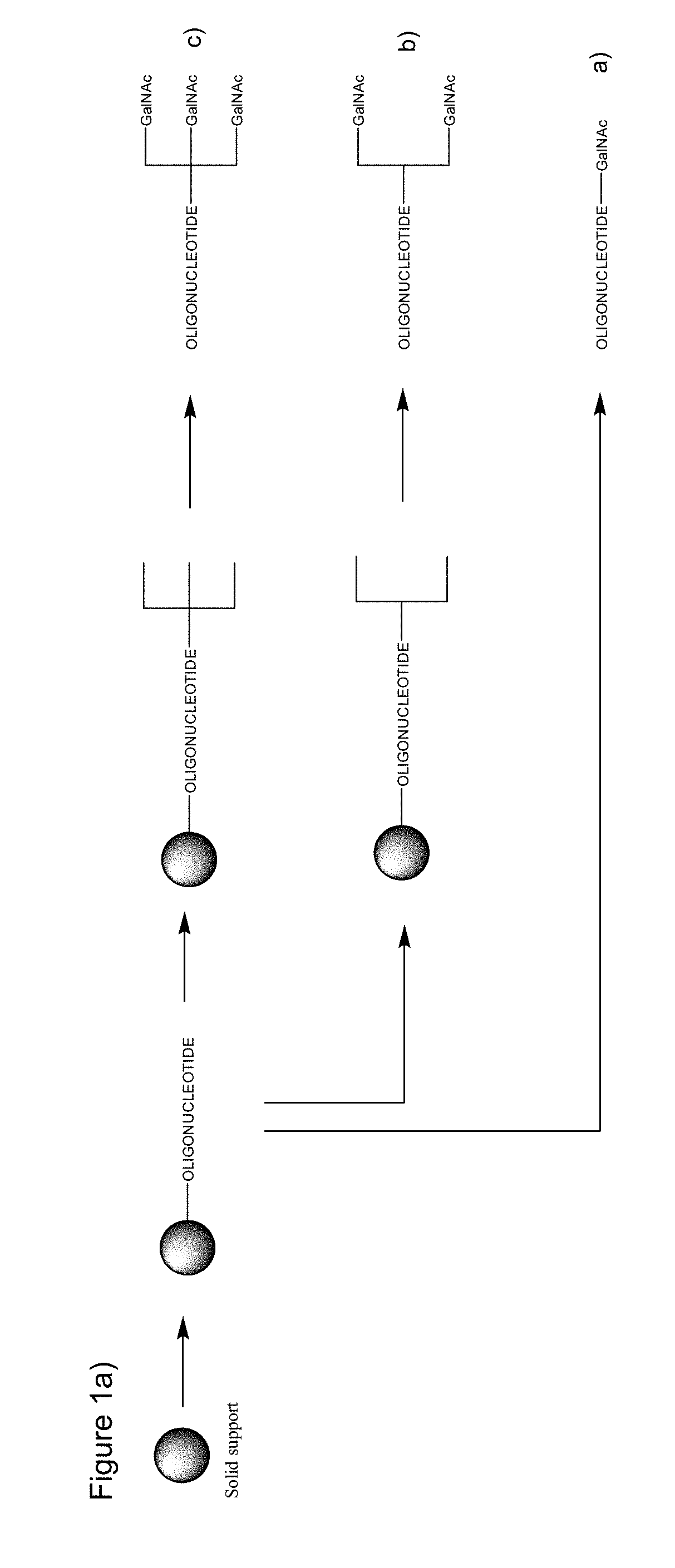 Galnac phosphoramidites, nucleic acid conjugates thereof and their use