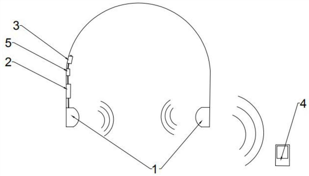Visual carotid plaque ultrasonic self-inspection instrument