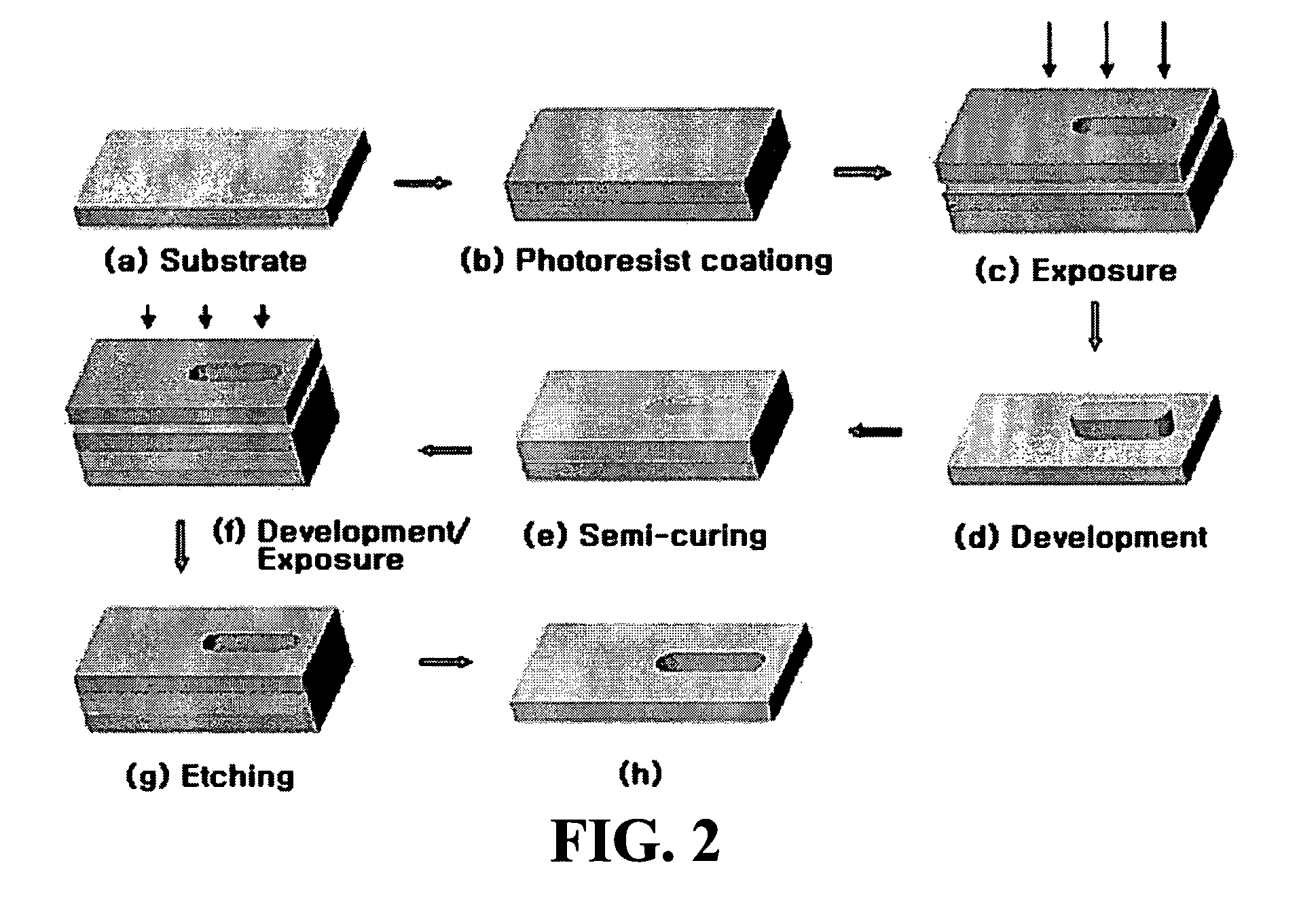 Conductive carbon nanotubes dotted with metal and method for fabricating a biosensor using the same
