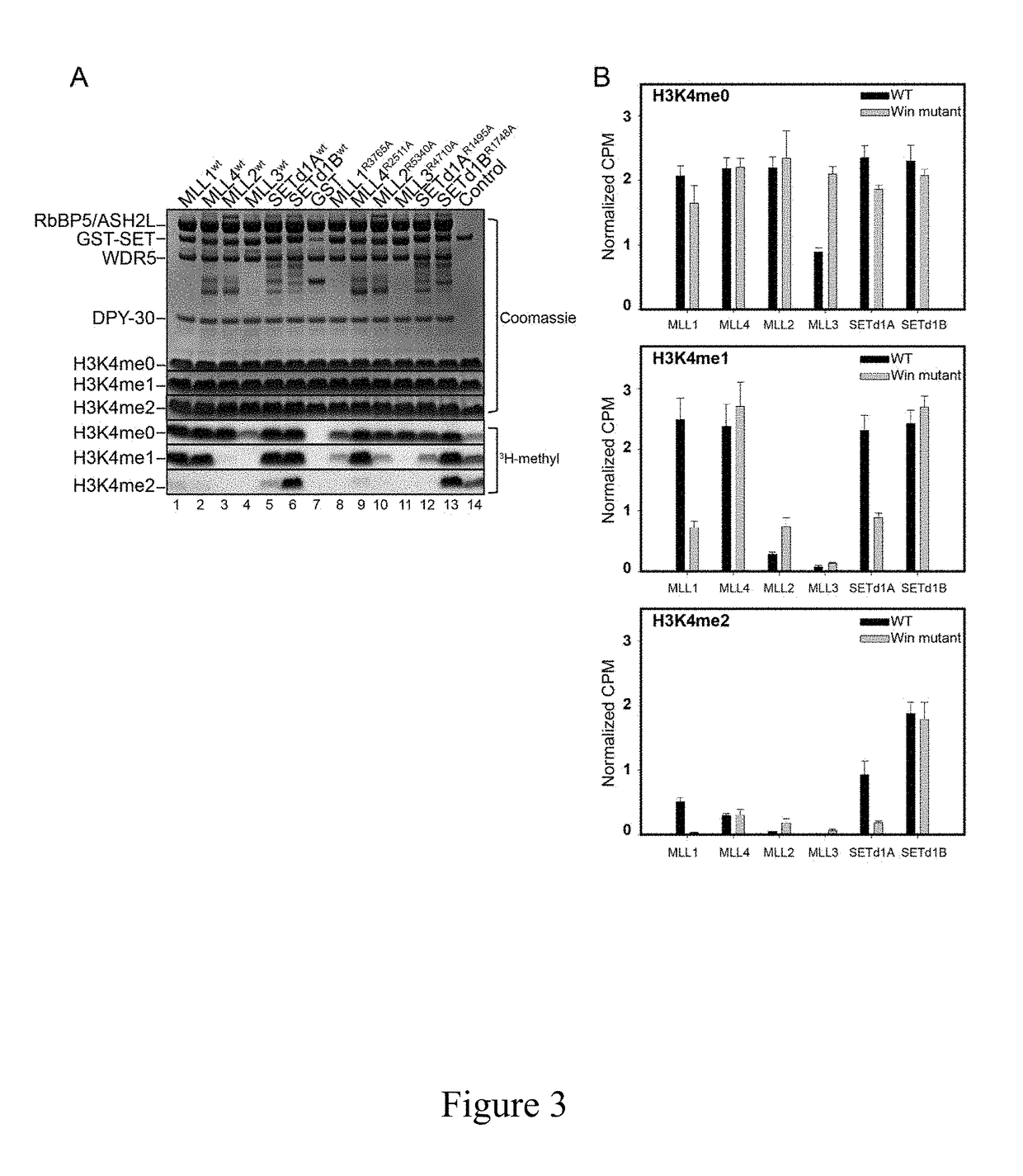 Peptide-based inhibitors of mll/set1 family core complexes