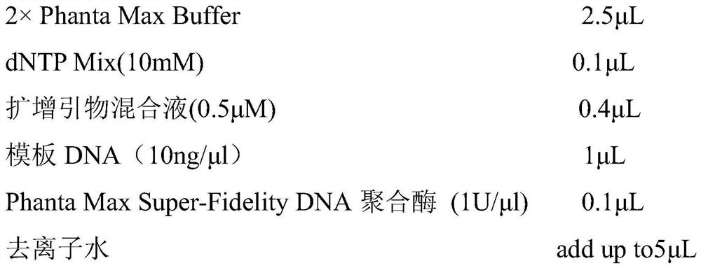 A nucleic acid mass spectrometry detection method for early screening of liver cancer susceptibility genes