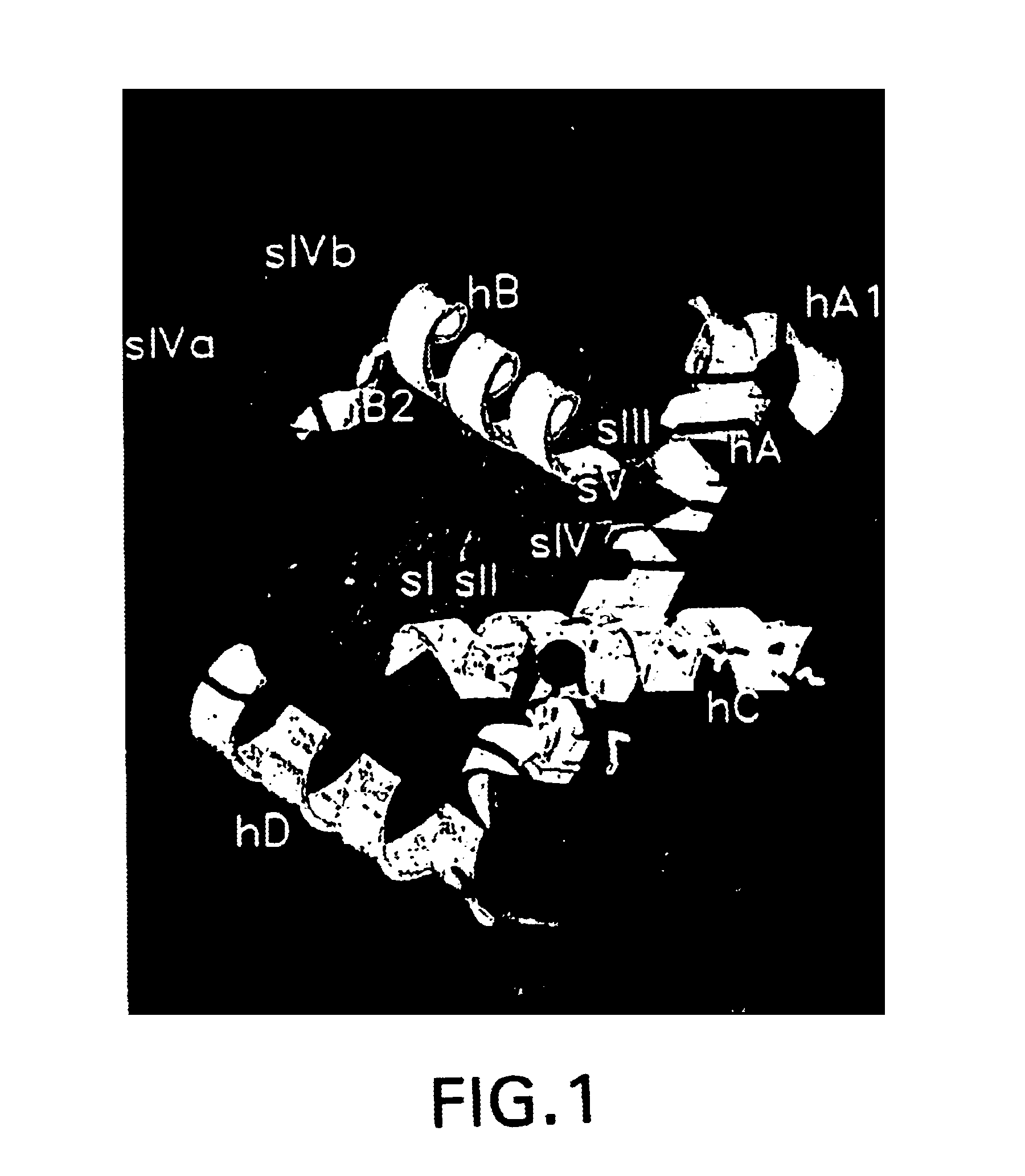 Crystalline TNF-α-converting enzyme and uses thereof